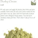 Barley Grass Powder - Barleygrass - Wheatgrass - Wheat Grass Tea - 200g - Image 7