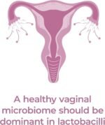 PrecisionBiotics Daily Women's Flora - Probiotics for Women - with Unique Astarte and LA-5 Bacterial Culture Strains - 30 Oral Capsules - Image 6