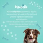 Digestion Dog Supplement, Promotes Digestive Health, Firms Stools, Reduces Excess Wind, Probiotics for Sensitive Stomachs, Vet-Endorsed, UK-Made, All Breeds, 120 Tablets - Image 5