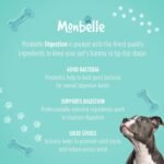 Digestion Dog Supplement, Promotes Digestive Health, Firms Stools, Reduces Excess Wind, Probiotics for Sensitive Stomachs, Vet-Endorsed, UK-Made, All Breeds, 120 Tablets - Image 6