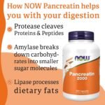 Now Foods, Pancreatin 2000, 200mg, 250 Capsules, Enzyme Blend, Gluten Free, SOYA Free, Non-GMO - Image 4