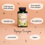 Vegavero Papaya Enzyme | 2,100 mg Papain | 100% Natural: Carica Papay Fruit Extract | NO Additives | 120 Vegan Capsules - Image 4
