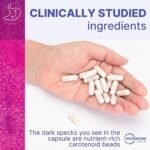 Microbiome Labs MegaSporeBiotic Plus with Antioxidants - Spore Based Probiotic, Active Bacteria Supplement to Boost Akkermansia, 4 Bacillus Strains for Gut Health - Vegan Probiotics (60 Capsules) - Image 6