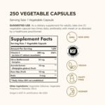 Solgar Ester-C Plus 500 mg Vitamin C Vegetable Capsules - Food Supplement, Pack of 250 - Immune System Support - Ideal for Sensitive Stomachs - Vegan, Gluten Free - Image 3