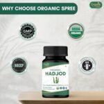 HADJOD - CISSUS 120 Tablets | Cissus Quadrangularis (Hadjod) | USDA Organic Certified | Organic and Natural 120tab (1) - Image 6