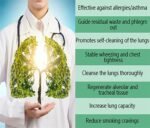 Cordyceps Sinensis Extract - Lung Clearing Drops - Clean & Breathe,Cordyceps Sinensis Extract Lung Clearing Drops,Cordyceps Sinensis Extract Herbal Spray,Herbal Body Care Essence (3pcs) - Image 10