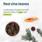 ATTITUDE Liquid Hand Soap, EWG Verified, Plant and Mineral-Based, Vegan Personal Care Products, Vine Leaves and Pomegranate, 473 mL - Image 5