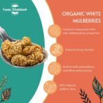 Sussex Wholefoods Organic White Mulberries 500g - Sweet, Nutritious, Superfood Snack - Image 3