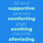 Plant Therapy Tummy All Better Roll-On 30 mL (1 oz) Supports a Healthy Digestive System, Soothes Stomach Cramps, Great for Travel-Related Queasiness, Made with All Natural Ingredients - Image 5