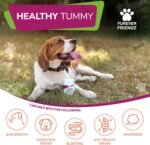 Dog Probiotic Powder – Bacon Flavour Probiotic for Dogs – Dog Digestive Supplements w/No Gluten or Dairy – Mix-In Powdered Probiotics for Dogs Powder by Furever Friendz - Image 4