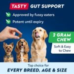 STRELLALAB Advanced Probiotics for Dogs Gut Health with Fibre - Pre, Post & Probiotic Treats - Dogs Digestive Health Sensitive Tums Support - All Breeds & Ages - Dog Probiotics for Gut Health (60 Ct) - Image 6