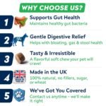 STRELLALAB Advanced Probiotics for Dogs Gut Health with Fibre - Pre, Post & Probiotic Treats - Dogs Digestive Health Sensitive Tums Support - All Breeds & Ages - Dog Probiotics for Gut Health (60 Ct) - Image 7