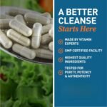 Colon cleansing, assists in colon cleansing, improves digestive status, supports intestinal environment, and indirectly assists metabolism - Image 6