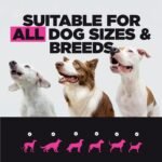 ProDog Muscle+ Dog Weight Gainer - Advanced Nutrition 76% Protein Per Scoop & Omega 3,6,9 - Supplement for Muscle Growth & Recovery, Underweight, Malnourished Dogs (60 Servings) - Image 3