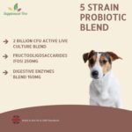 Probiotics for Dogs 120 Chicken Flavour Tablets - Advance Multi Strain Dog Probiotic & Prebiotic Tablets - Probiotics Supplement For Dogs With Added Digestive Enzymes - Image 4