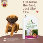 Probiotics for Dogs 120 Chicken Flavour Tablets - Advance Multi Strain Dog Probiotic & Prebiotic Tablets - Probiotics Supplement For Dogs With Added Digestive Enzymes - Image 5