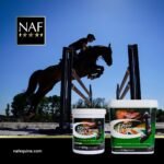 NAF Five Star Superflex 1.6kg – Premium Joint Supplement for Horses – High-Strength Glucosamine, MSM, Chondroitin, Hyaluronic Acid & Antioxidants – Supports Mobility and Joint Health - Image 6