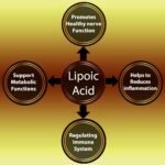 Alpha Lipoic Acid Supplements | with Powerful Anti-oxidant and metabolic Functions | Supports Healthy Blood Sugar Level | 600mg Capsules - Image 5