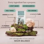 Calm & Collected – 60 Capsule Pouch – Ashwagandha Capsules with Lion’s Mane & Holy Basil – Natural Stress & Anxiety Support – Calming Blend for Relaxation & Inner Balance - Image 3
