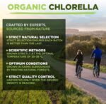 Chlorella Powder | Organic | 1kg | Cracked Cell Wall | Energy & Natural Detox | High in Vitamin A, B12 & Iron | MySuperfoods - Image 3