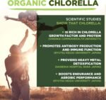 Chlorella Powder | Organic | 1kg | Cracked Cell Wall | Energy & Natural Detox | High in Vitamin A, B12 & Iron | MySuperfoods - Image 4