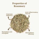 ROSEMARY ORGANIC INFUSION 200G (100 Cups) | Rosemary Infusion Bulk | Sage Leaves rosmarinus REPLANTEA - Image 4