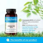 Coenzyme Q10 200 mg + Zinc – 100 Capsules | Antioxidant and Cellular Support for Energy and Wellness by BIOHERBA - Image 3
