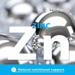 Coenzyme Q10 200 mg + Zinc – 100 Capsules | Antioxidant and Cellular Support for Energy and Wellness by BIOHERBA - Image 6