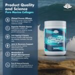 Pure Hydrolysed Marine Collagen Powder 300g | Natural | Unflavoured | Type 1 and 3 Marine Collagen Peptides | All 9 Aminos | Naticol Branded Peptides | 60 Servings - Made for Hellenia - Image 5
