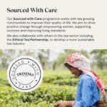 Twinings Superblends Super Green Matcha, 4 x 20 Tea bags - Image 5