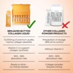 Benjamin Button Marine Collagen Liquid Sachet w/Hyaluronic Acid & Vitamin C | for Hair, Skin, Nails & Joints | 12,000mg High Strength Hydrolysed Collagen (Mango, 28x Sachets) - Image 7