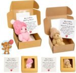 2PCS My Little Worry Bear in a Box, Mini Plush Anxiety Teddy Bears with Card, Pocket Hug Gift for Kids and Adults, Stress Relief Companion for Emotional Support (Pink and Brown) - Image 2