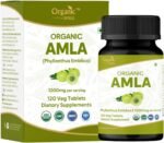 Amla 120 Tablets | Indian Gooseberry (Amalaki) | USDA Organic Certified | Organic and Natural 120tab (120 Count (Pack of 1)) - Image 2