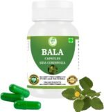 Bala (SIDA cordifolia) Capsule | Pack of 60 x 500 MG. Vegetarian Capsules | Natural Herbal Supplement | GMP Certified | Gluten Free (Pack of 1) - Image 2