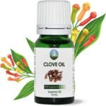 Clove Oil for Toothache Pain Relief for Adult – Oil of Cloves for Toothache Natural Dental Solution, Clove Bud Oils, Cloves Extract for Oral Care, Tooth Pain Relief and Dental Health - 10ml - Image 2
