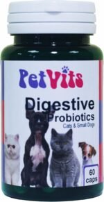 Digestive Probiotics for Cats and Small Dogs : Digestive Health Pet Supplement : 60 Capsules, in a 99% recycled pot - Image 2
