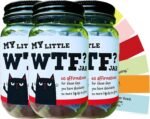 Funny Affirmation Jar - 60 Badass Self-Care Quote Cards, Stress Relief Gift, Humorous Office Desk Decor, Positive Affirmation Cards for Anxiety Support & Daily Motivation (3Pcs) - Image 2