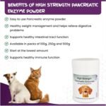 High Strength Pancreatic Enzyme Powder for Dogs & Cats by Chemeyes - Digestive Enzyme Supplement with Amylase, Protease & Lipase - Pancreatin Supports Normal Digestion and Healthy Weight - 250g - Image 2