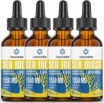 Liposomal Irish Sea Moss Drops 1550MG, with Burdock Root and Bladderwrack Extract, 4X Stronger Than Pills & Gel, Gut & Immune Balance, 60ml (Pack of 4) - Image 2