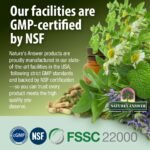 Natural's Answer Daily Detox & Wellness Support, 1500mg, 90 Vegan Capsules - Image 2