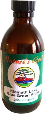 Nature's Gold Organic Klamath Lake Blue Green Algae Supplement 250ml Liquid - Image 2