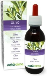 Olive (Olea europaea) Leaves Alcohol-Free Mother Tincture Naturalma - Liquid Extract Drops 120 ml - Food Supplement - Vegan - Image 2