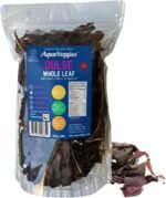 Organic Atlantic Dulse Whole Leaf – Hand-Harvested & Sun-Dried from Bay of Fundy – Rich in Iodine, B6, B12, Iron, Protein, Calcium & Magnesium – Vegan Superfood (16 Ounce (Pack of 1)) - Image 2