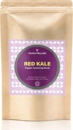 Organic Red Kale Sprouting Seeds - 125g | Non GMO Superfood | Easy to Sprout | Microgreens in 12 Days, Sprouts in 5 Days - Image 2