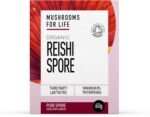 Organic Reishi Spores Supplement - Mushroom Superfood Supplement - Reishi Mushroom Complex - Pure Grade Extracts, No Binders (60g Powder) - Image 2