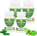 Punarnava Capsules (Boerhaavia Diffusa) 500mg – 60 Veg Capsules | Herbal Wellness Supplement for Natural Kidney & Liver Support | Plant-Based Detox & Cleansing Formula | Pack of 4 - Image 2