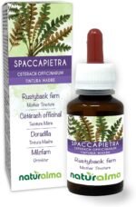 Rustyback Fern (Ceterach officinarum or Asplenium Ceterach) Leaves Alcohol-Free Mother Tincture Naturalma - Liquid Extract Drops 60 ml - Food Supplement - Vegan - Image 2