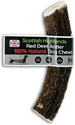 Scottish Deer Antler Dog Chews - Naturally Shed, Long Lasting, 100% Natural… (Deer Antler Chew Medium 90-130g) - Image 2