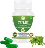 Tulsi (Ocimum Sanctum) Capsule | Pack of 60 x 500 MG. Vegetarian Capsules | Natural Herbal Supplement | GMP Certified | Gluten Free (Pack of 1) - Image 2