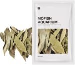 Water care Leaves, Effective Botanical Water care, Non Rot Water Botanical Leaf Supplement, Regulate acidity Botanical Water care, Longan Leaves Natural Water Conditioner for Aquarium - Image 2